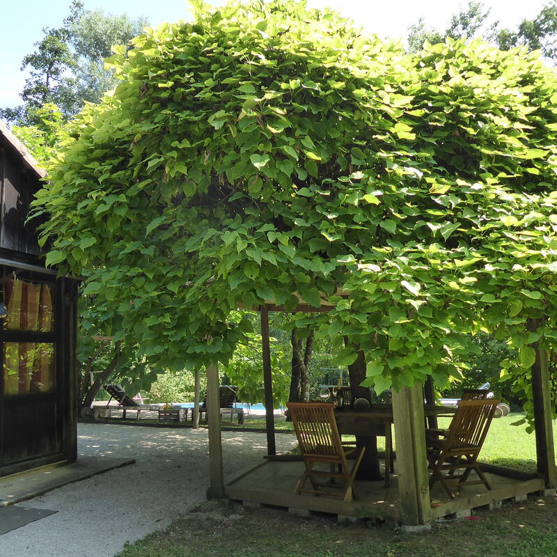 Chalet Fagarè: Autumn, Garden, Spring, Summer
