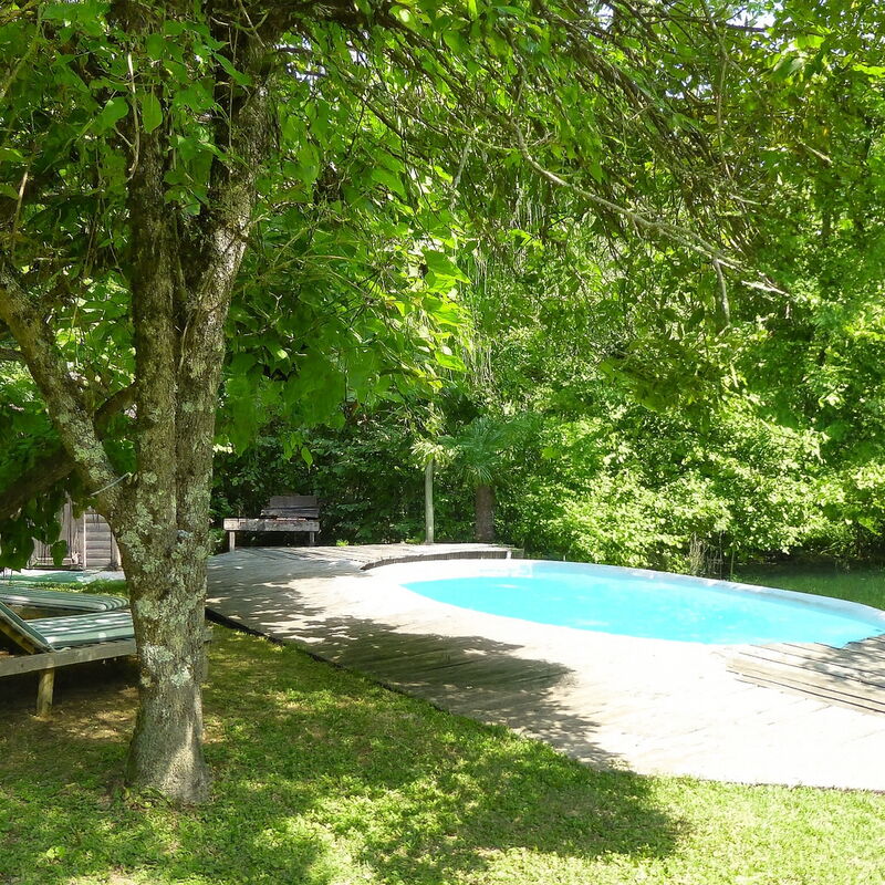 Chalet Fagarè: Autumn, Pool, Spring, Summer