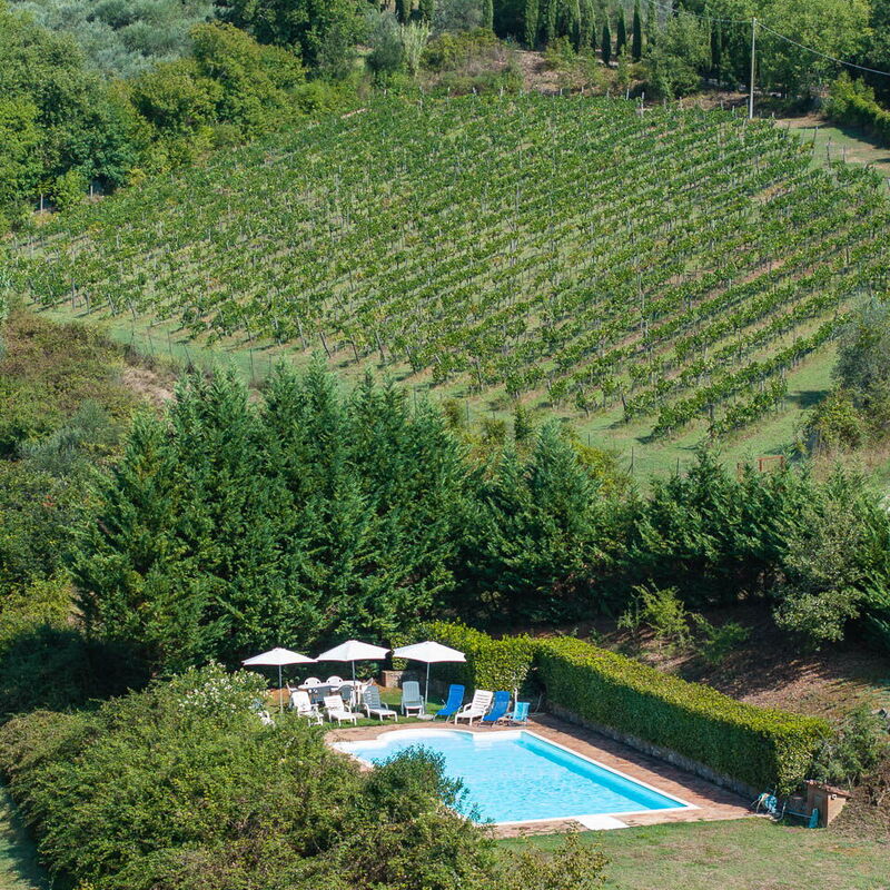 Fattoria Gaiole in Chianti: bazen, Jesen, Ljeto, Proljeće