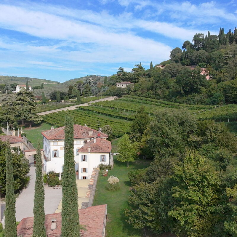 Calicantus, Verona, Pool, Wifi: Automne, Été, Printemps, Vues