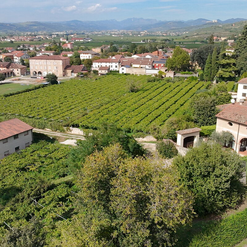 Calicantus, Verona, Pool, Wifi: Automne, Été, Printemps, Vues