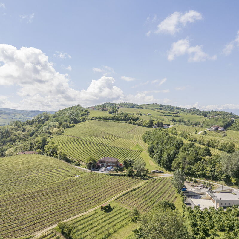 Arpusè - Ca' Fredo Apartment with Pool: Ansichten, Frühling, Herbst, Sommer