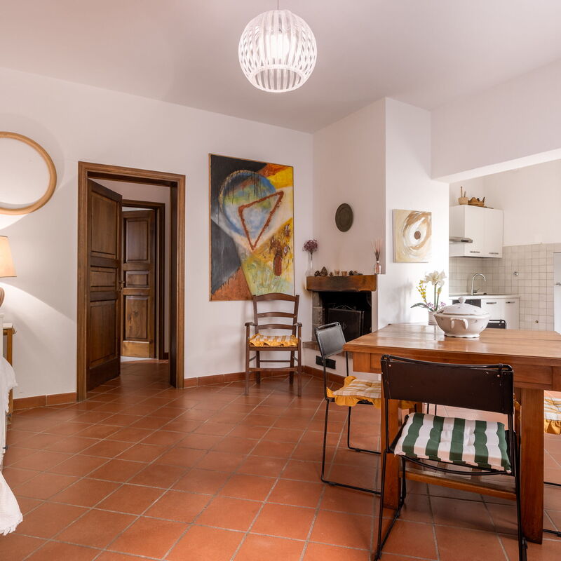 Il Ferrone Apartment With Garden - Greve In Chianti: Autumn, Living Room, Spring, Summer