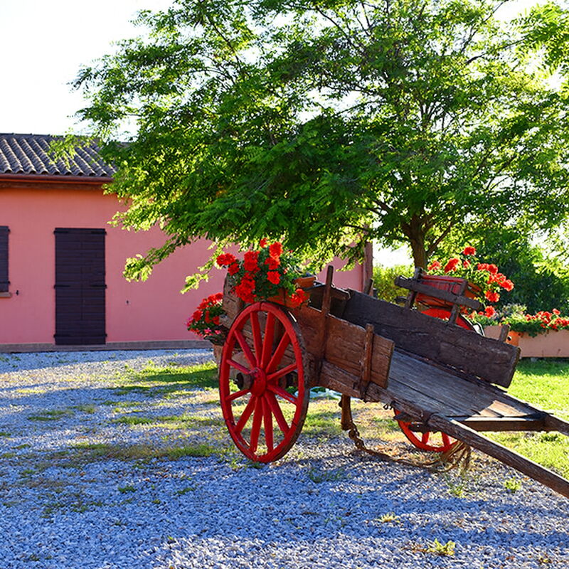 Appartamento Ibisco Seaside and Pool: Autumn, Building Exterior, Spring, Summer