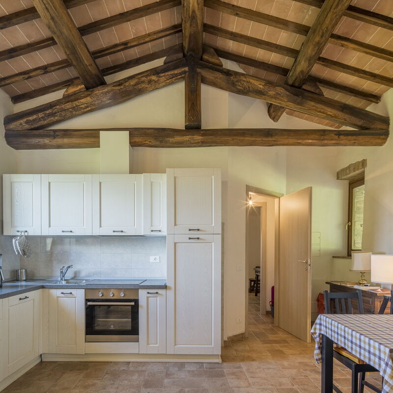 Monti Country House , Pool, Casole D'Elsa: Automne, Cuisine, Été, Printemps