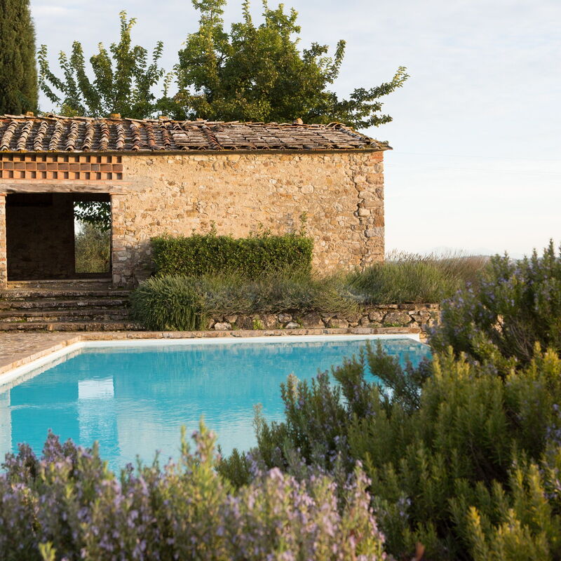 Podere Sangiovese, Pool and View in Chianti: Automne, bassin, Été, Printemps