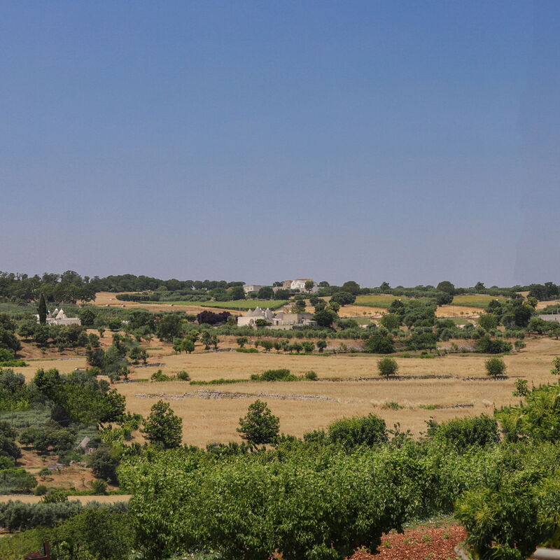 Trulli Retreat, Pool, Locorotondo: Autumn, Scenic View, Spring, Summer