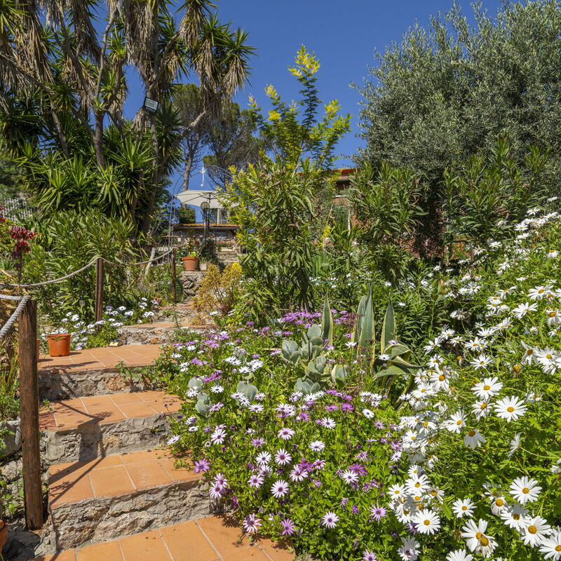La Torre sul Ponte, Seaview, Garden: Jesen, Ljeto, Proljeće, Vrt