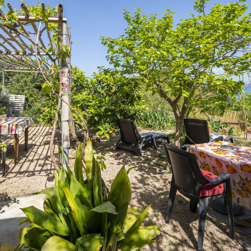La Torre sul Ponte, Seaview, Garden: Jesen, Ljeto, Proljeće, Vrt