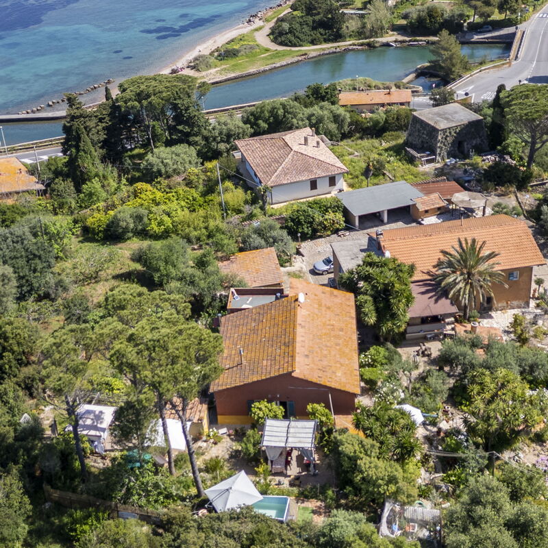 La Torre sul Ponte, Seaview, Garden: Jesen, Ljeto, Pogledi, Proljeće
