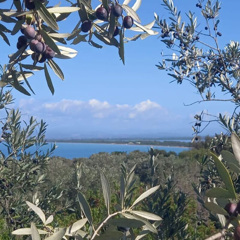 La Torre sul Ponte, Seaview, Garden: Autumn, Scenic View, Spring, Summer