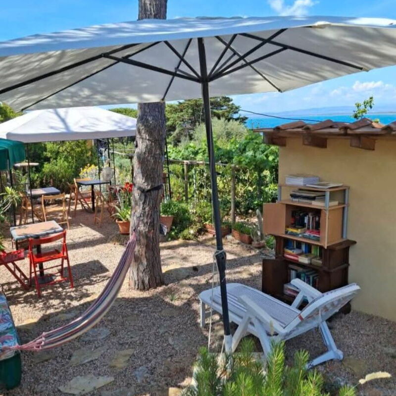 La Torre sul Ponte, Seaview, Garden: Autumn, Garden, Spring, Summer