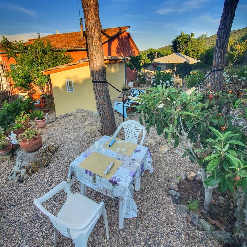 La Torre sul Ponte, Seaview, Garden: Autumn, Garden, Spring, Summer