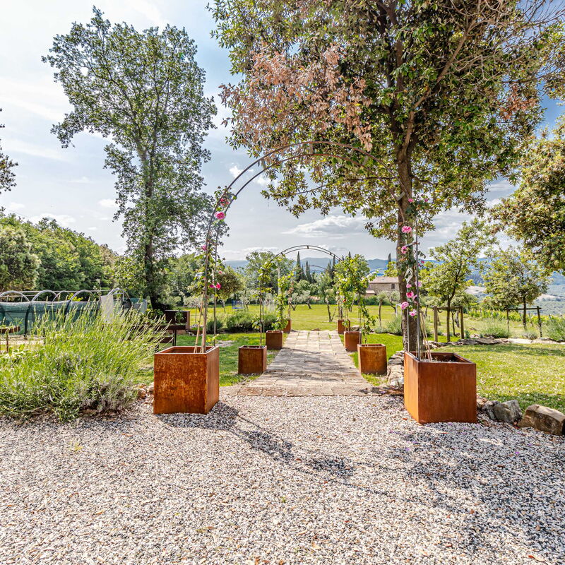 Villa la Cerbaina: Extérieurs, Jardin