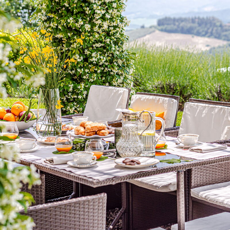 Villa la Cerbaina: Aliments, Extérieurs, Jardin