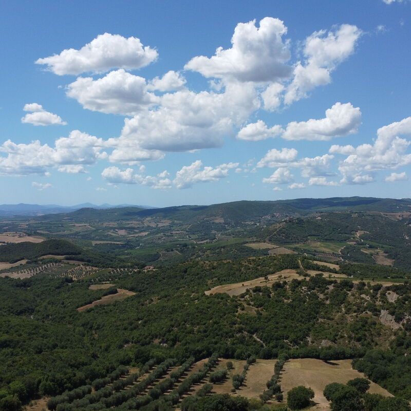Agriturismo Bellavista, Private Pool, Val D'Orcia: Autumn, Scenic View, Spring, Summer