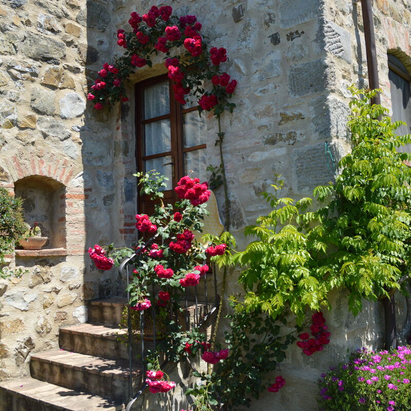 Agriturismo Bellavista, Private Pool, Val D'Orcia: Automne, Été, Jardin, Printemps
