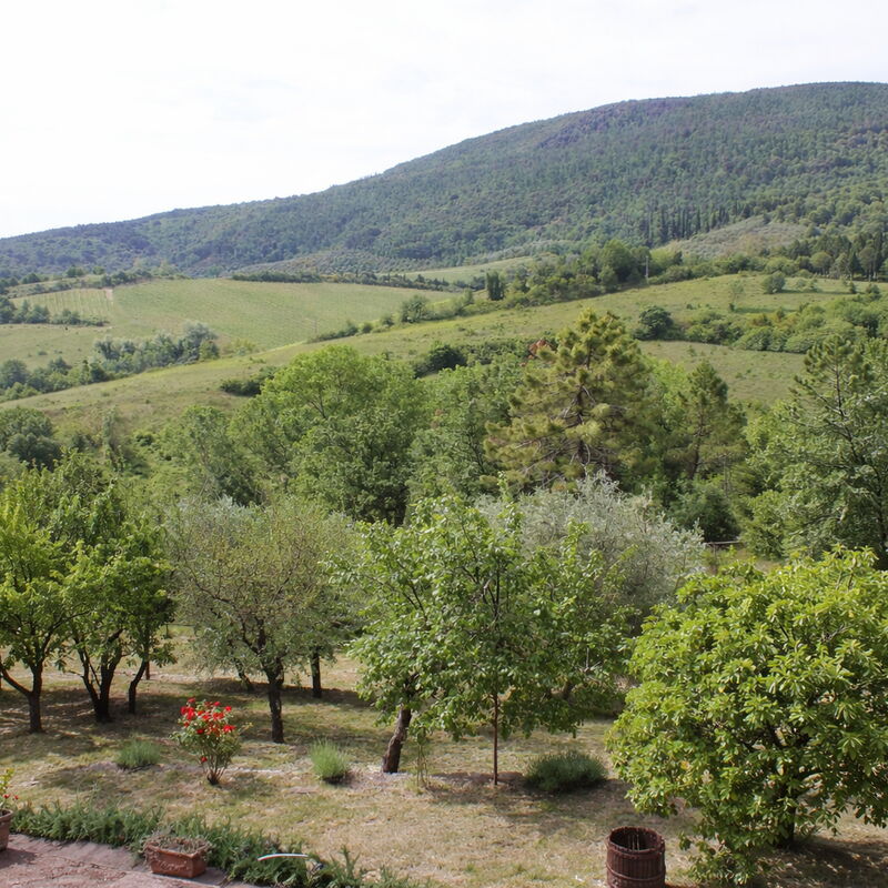 Le Sodole Farmhouse, San Gimignano: Autumn, Scenic View, Spring, Summer