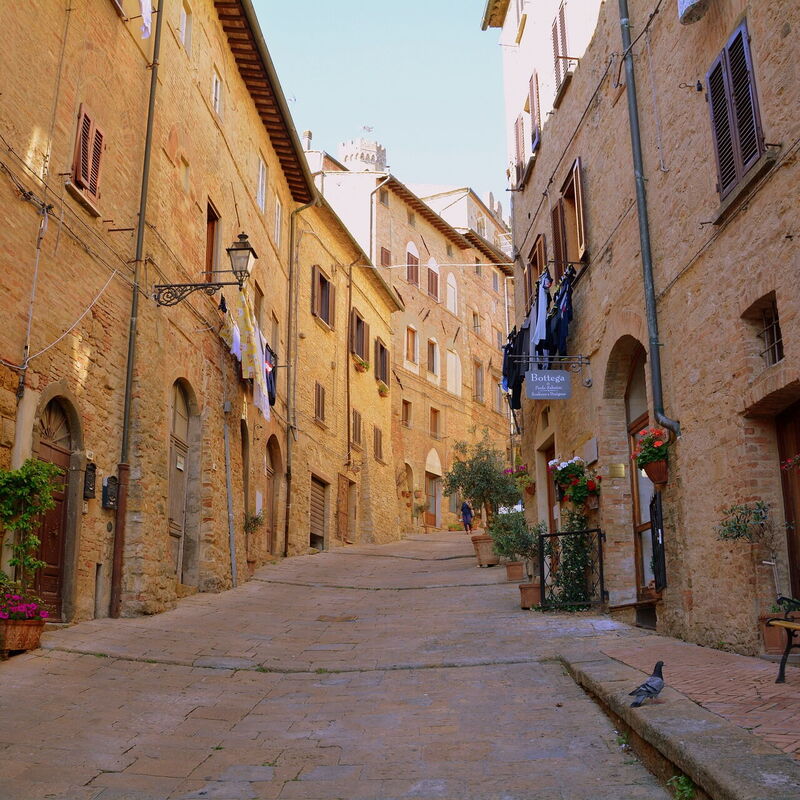 Le Sodole Farmhouse, San Gimignano: Activités, Automne, Été, Extérieur, Printemps, Vues