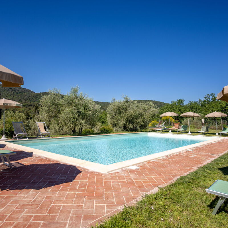 Podere le Lune with Pool, San Gimignano: Autunno, Estate, Piscina, Primavera