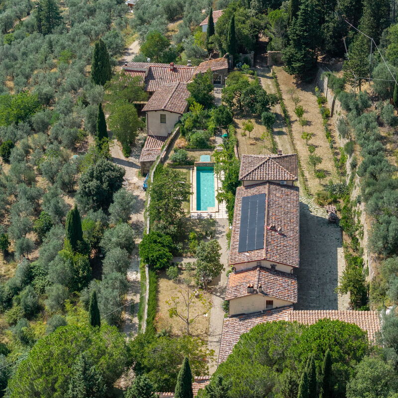 Villa Il Casalino, Florentine Hills with Pool: Frühling, Garten, Herbst, Schwimmbad, Sommer