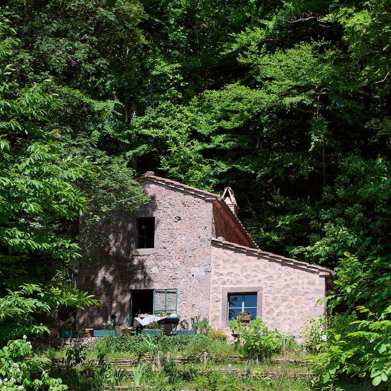 Il Gallinaio, Vivo D'Orcia: Autumn, Garden, Spring, Summer