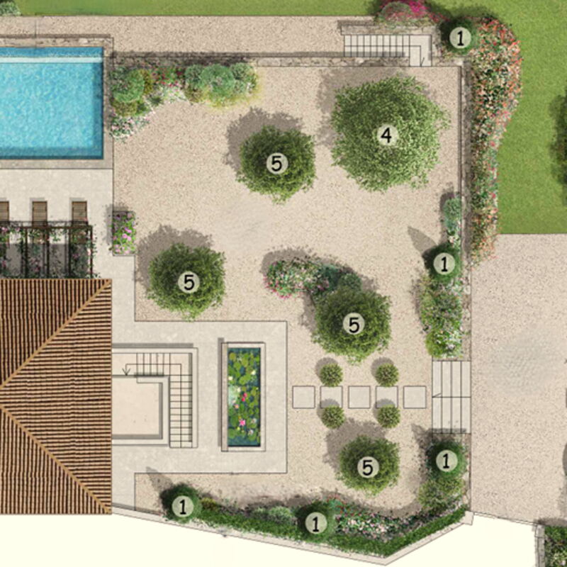 Villa Elisa: bazen, Eksterijeri, Planimetrija, Vrt