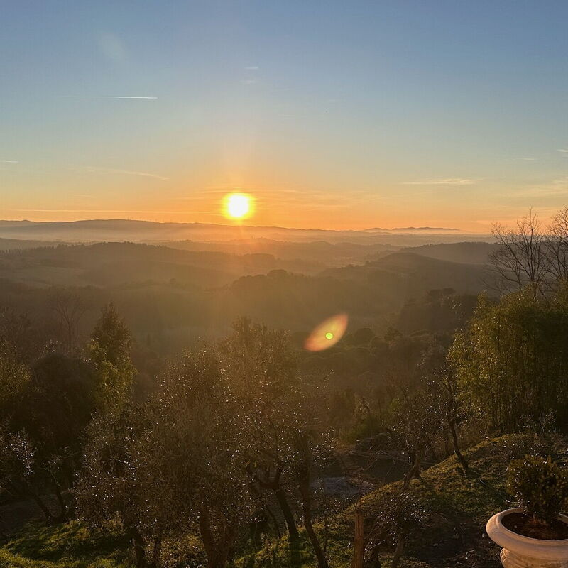 Villa Elisa: Pogledi