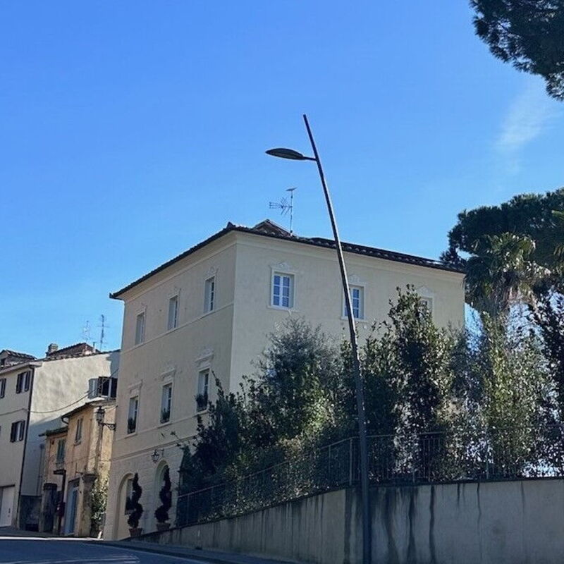 Villa Elisa: Eksterijeri, Glavni ulaz