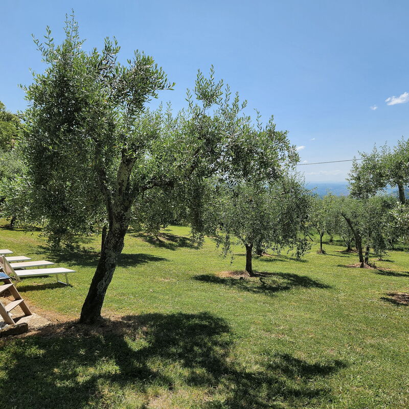 La Casa Rossa, Shared Pool, Marliana: Autumn, Pool, Spring, Summer
