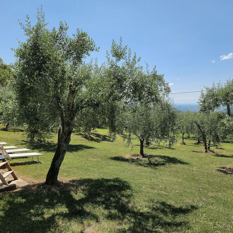 La Casa Rossa, Shared Pool, Marliana: Autumn, Pool, Spring, Summer