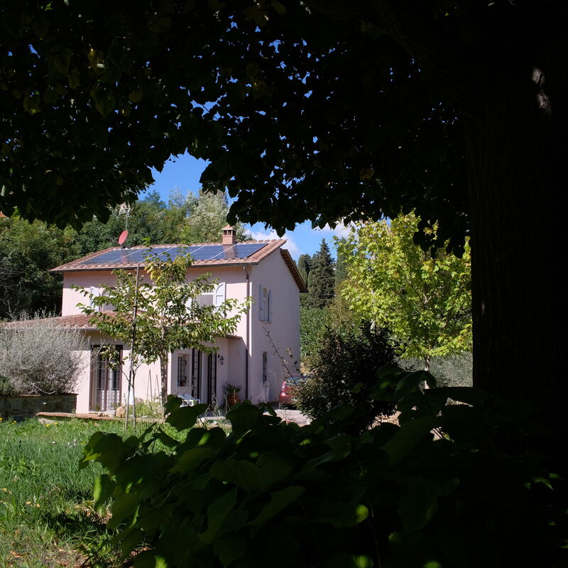 Villa Montepulciano Vineyard and Pool Retreat: Automne, Été, Jardin, Printemps