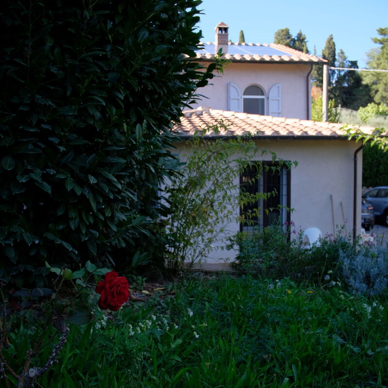 Villa Montepulciano Vineyard and Pool Retreat: Automne, Été, Jardin, Printemps