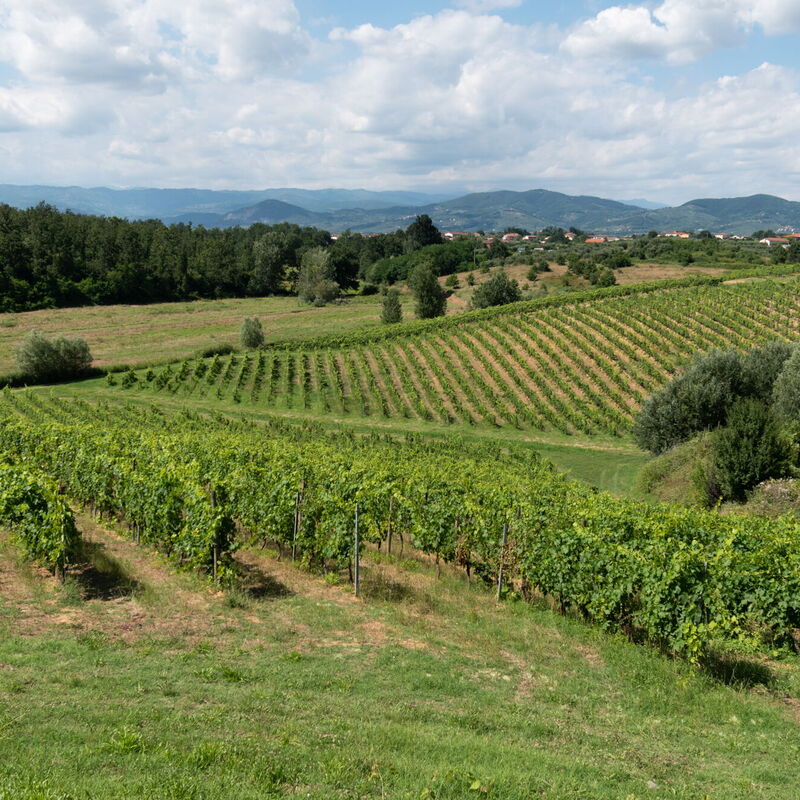 Agriturismo le Due Querce: Autumn, Building Exterior, Outdoor, Scenic View, Spring, Summer, Winter