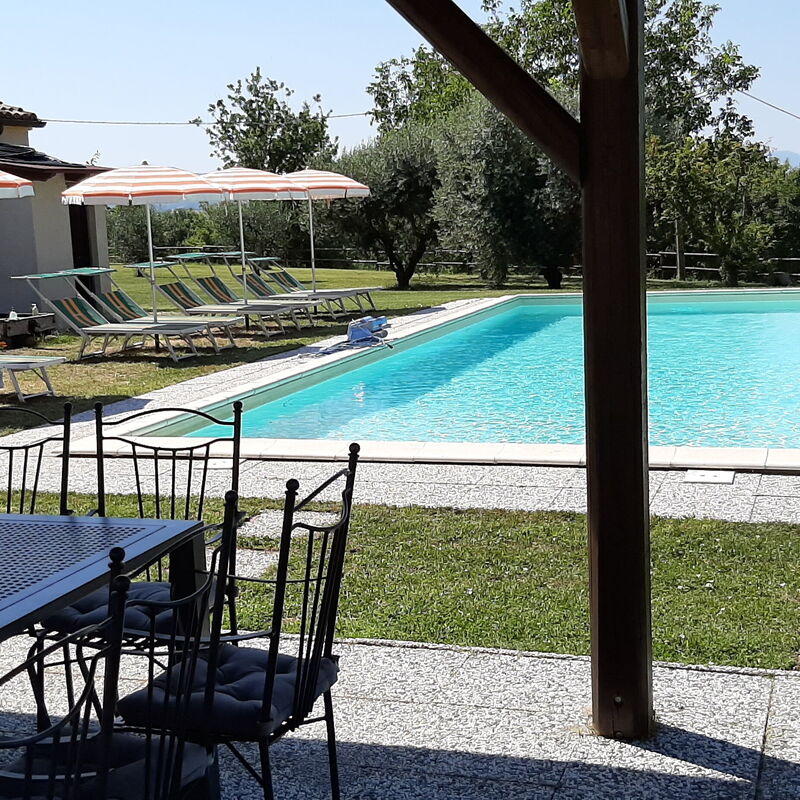 Villa Felice, Private Pool and Hills: all'aperto, Autunno, Estate, Esterni, Giardino, Inverno, Piscina, Primavera