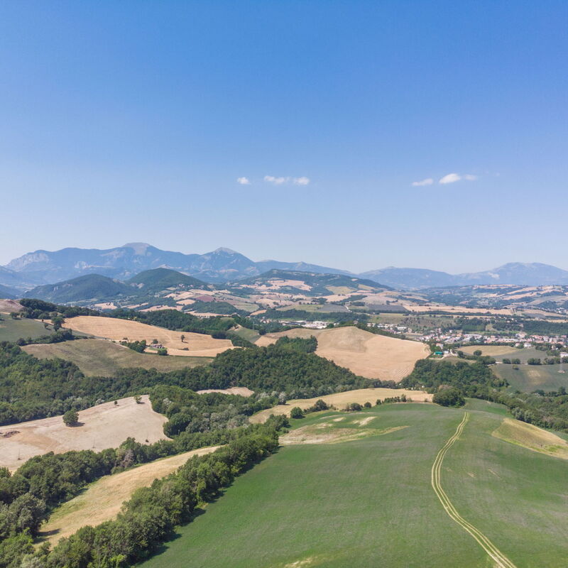 Villa Felice, Private Pool and Hills: Automne, Été, Extérieur, Extérieurs, Hiver, Printemps, Vues