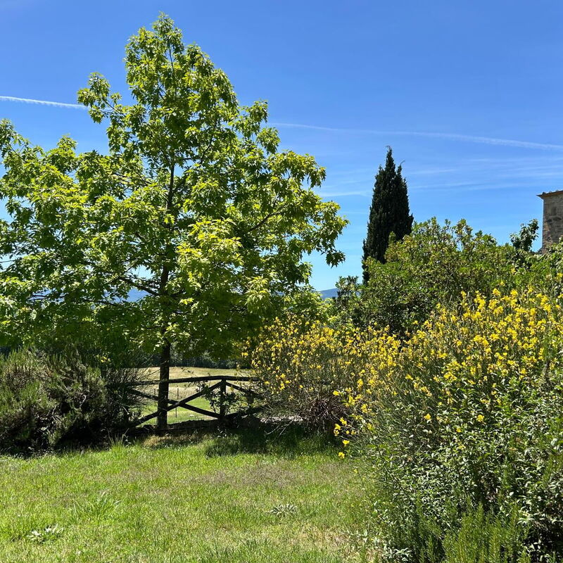 Casa Stella Serena, Podere le Scopaie, Pool: Frühling, Garten, Herbst, Sommer