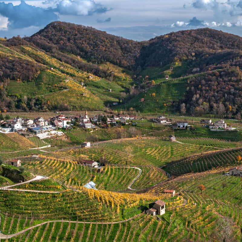 La Casetta dei Palù, Valdobbiadene: Autunno, Estate, Inverno, Primavera