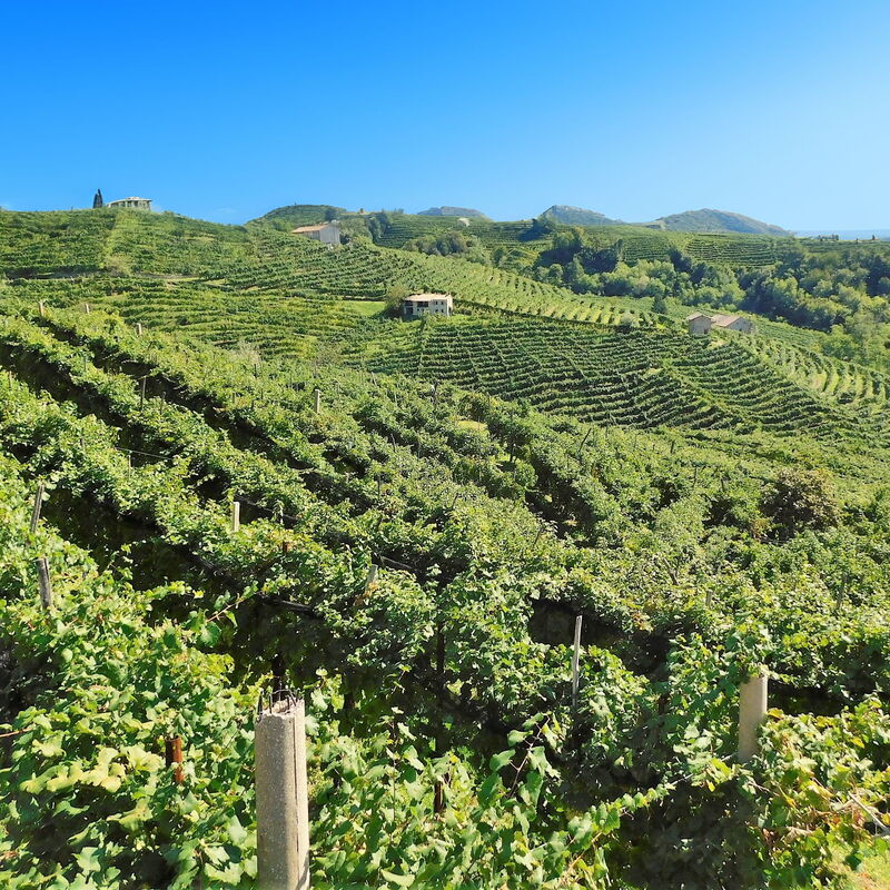 La Casetta dei Palù, Valdobbiadene: Autunno, Estate, Inverno, Primavera