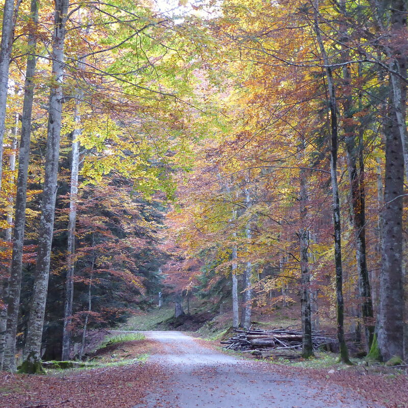 La Casetta dei Palù, Valdobbiadene: all'aperto, Autunno, Estate, Inverno, Primavera