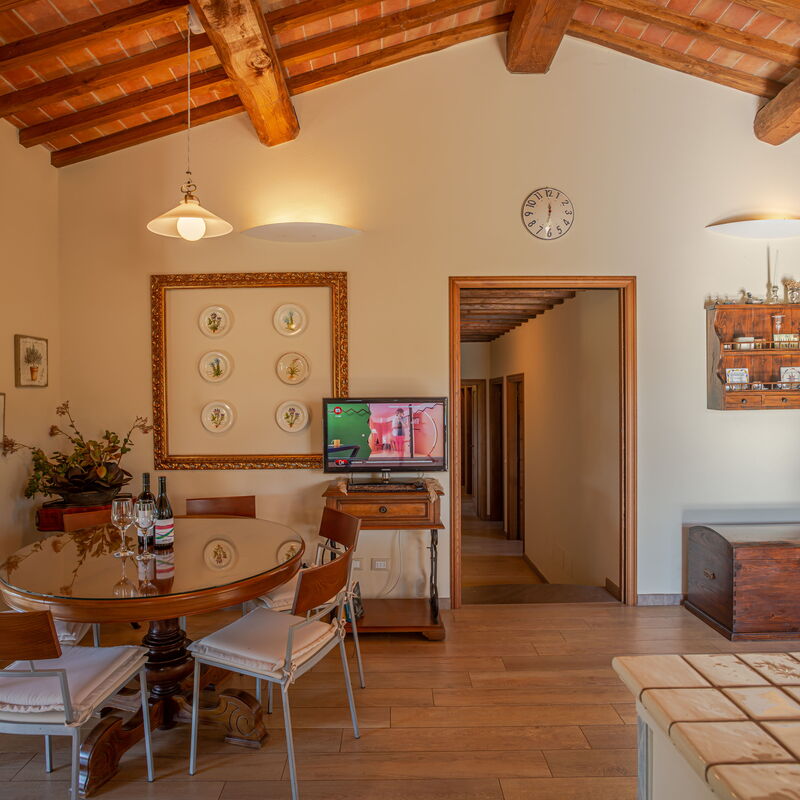 Villa Relax Castagneto Carducci: Autunno, Cucina, Estate, Primavera