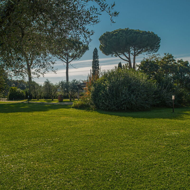 Villa Relax Castagneto Carducci: Autunno, Estate, Giardino, Primavera