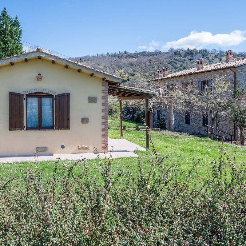 Il Giuncheto, Pool, Amazing View, Umbrian Countryside: Autunno, Estate, Giardino, Primavera