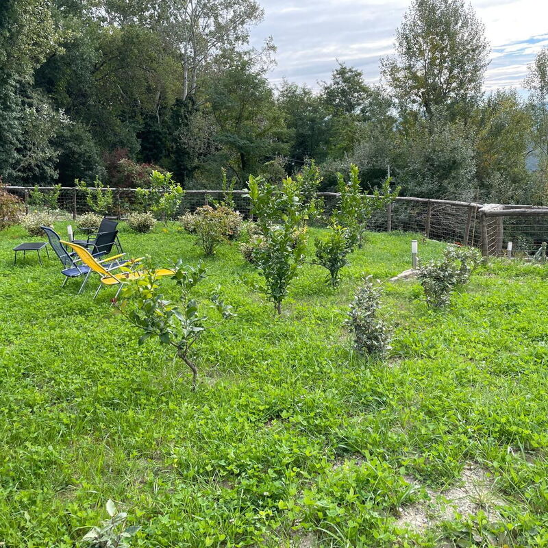 Borgo Antico, Pool, Barberino del Mugello: Autunno, Estate, Giardino, Primavera