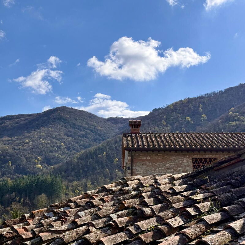 Borgo Antico, Pool, Barberino del Mugello: Autunno, Estate, Primavera, Vista Panoramica