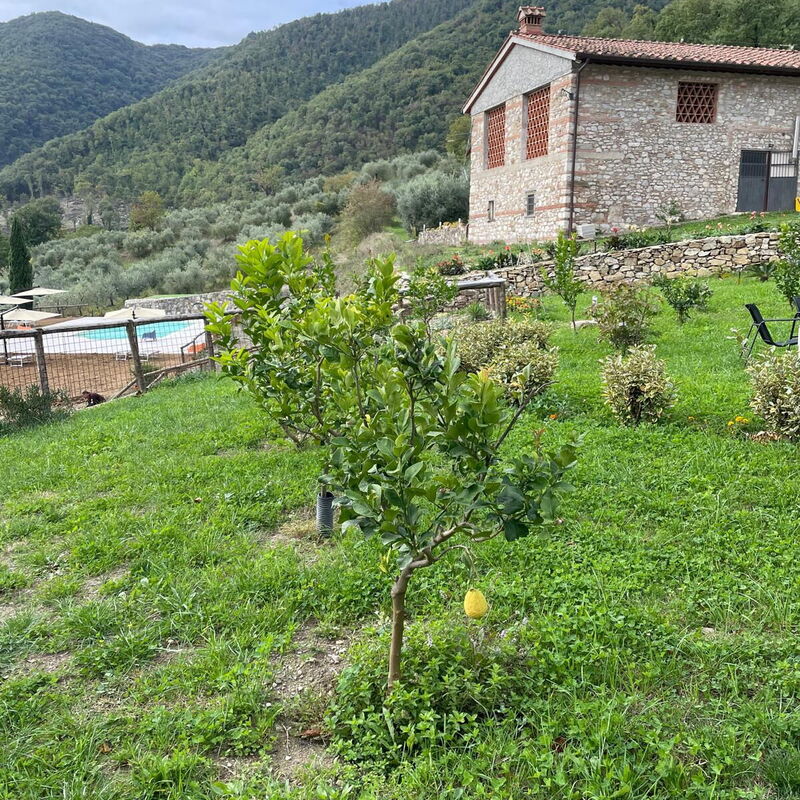 Borgo Antico, Pool, Barberino del Mugello: Autunno, Estate, Giardino, Primavera