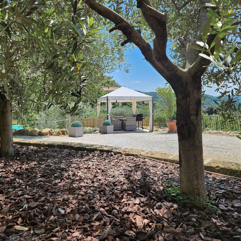 Il Casale di San Jacopo con Piscina Privata: Jesen, Ljeto, Proljeće, Vrt