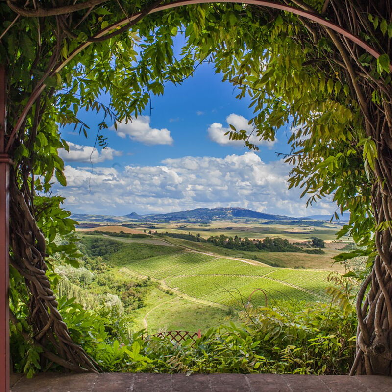 Villa Camelia: Ansichten, Außen, Balkon / Terrasse / Patio, Draussen