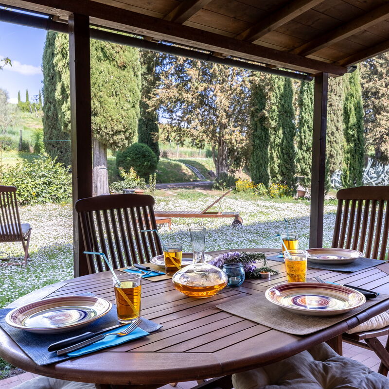 Civico108 Vacation Home, Pool, Castellina in Chianti: Autunno, Estate, Giardino, Primavera