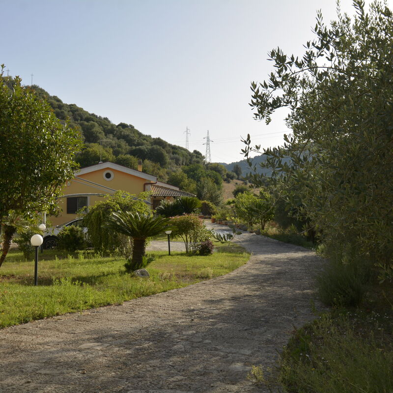 Villa del Monte: Automne, Été, Extérieur, Extérieurs, Jardin, Printemps